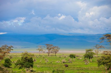 Landscape of Ngorongoro crater in Tanzania clipart