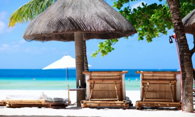 Beach chairs on tropical coast clipart