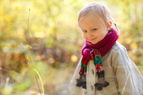 Toddler girl at autumn forest — Stock Photo, Image