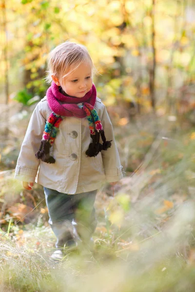 Bebek kız sonbahar orman yürüyüş — Stok fotoğraf