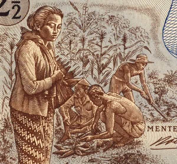 Trabalhadores de campo indonésios — Fotografia de Stock