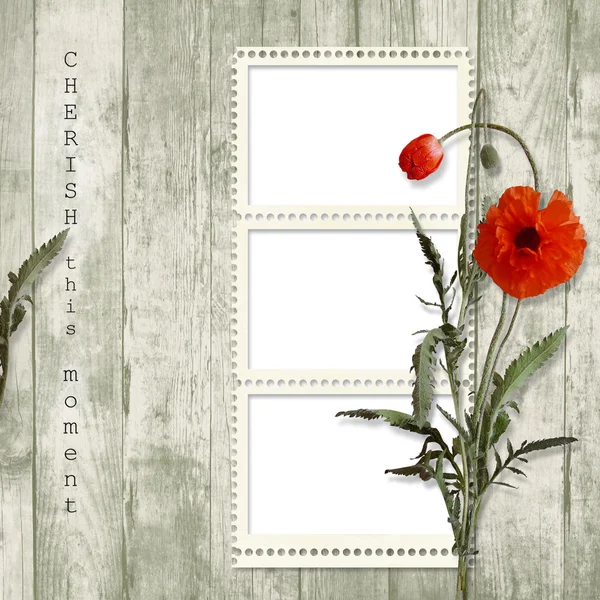 stock image Wooden background with frame and poppy