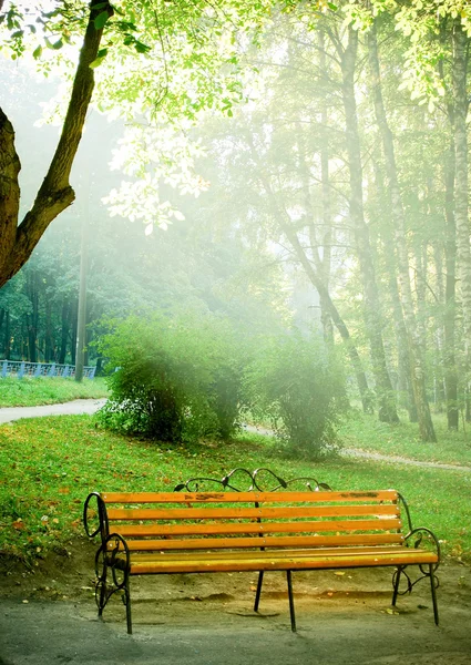 Bir sabah parkta bir bankta — Stok fotoğraf