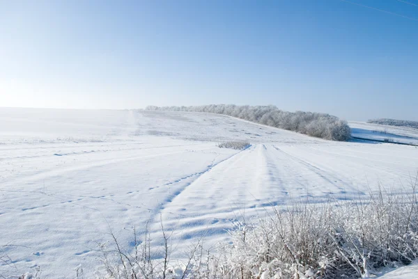 Snowy terrain — Stock Photo, Image