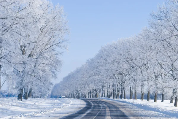 Поворот зимней дороги — стоковое фото