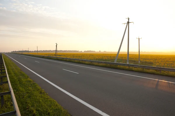 Autostrade lungo un campo di girasoli — Foto Stock