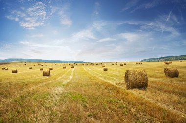 Straw bales on farmland clipart