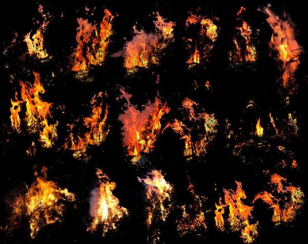 Oheň šablony — Stock fotografie