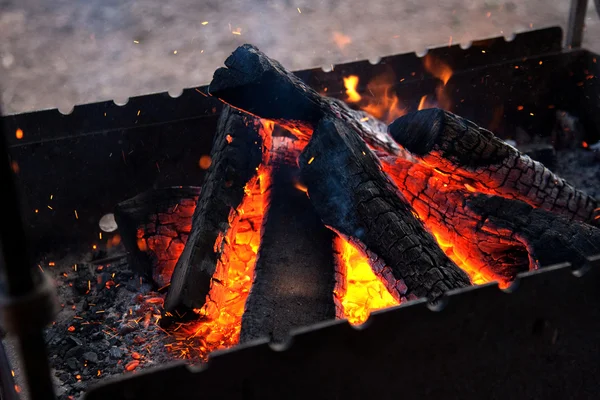 木柴在火盆 — 图库照片