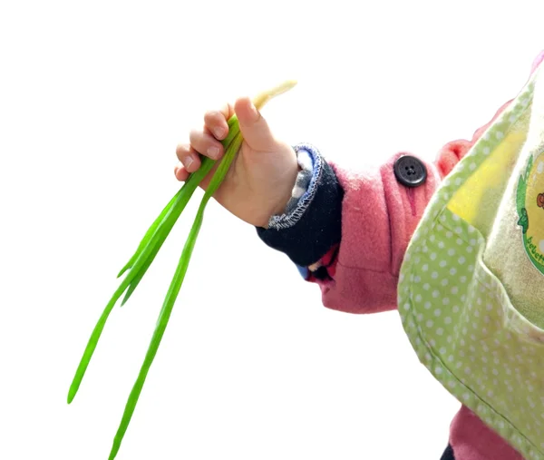 Niño sosteniendo cebolla en puño —  Fotos de Stock