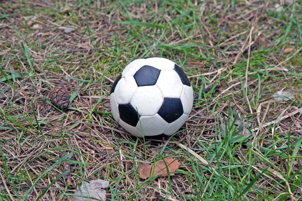 stock image Football in the grass