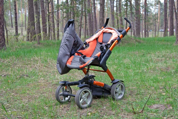在森林里的婴儿车 — 图库照片