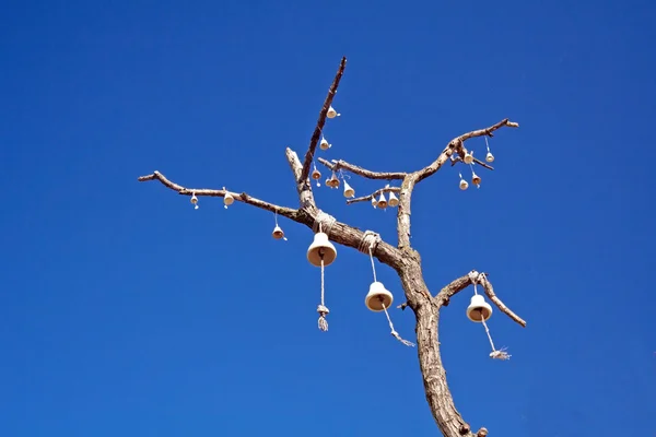 Bells on tree branch — Stock Photo, Image