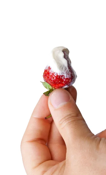 딸기 아이스크림으로 — 스톡 사진