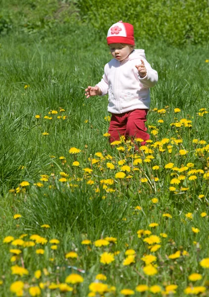 在绿色的草原上的孩子 — 图库照片