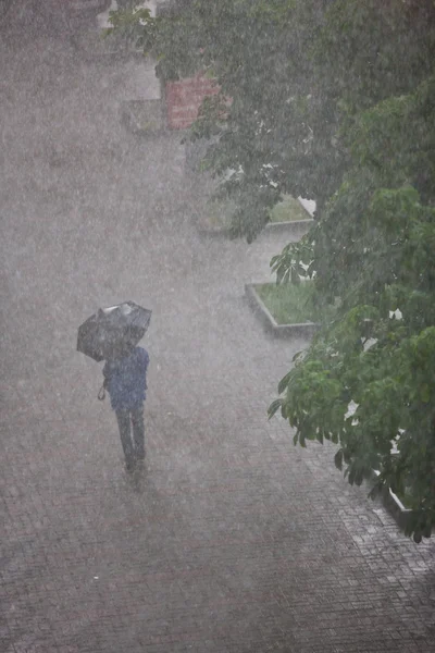 大雨 — 图库照片