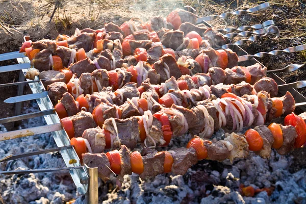 Shashlik (kebab) — Foto Stock