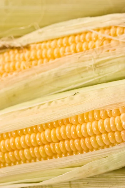 Золотий кукурудзи — стокове фото
