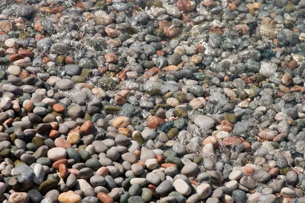 Pebblees laut — Stok Foto