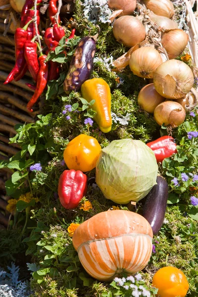 Vegetable decoration — Stock Photo, Image