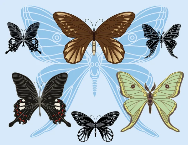 Set of colored butterflies and stencils — Stock Vector