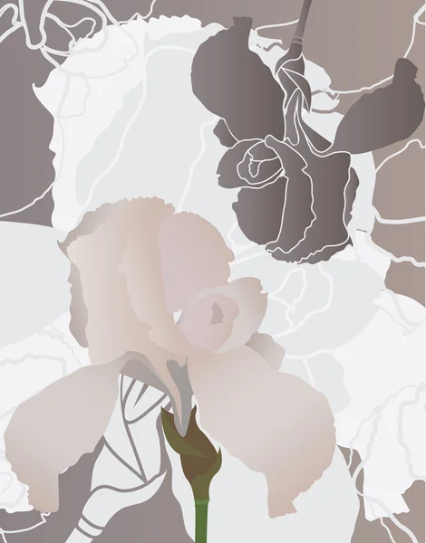 Crème iris et iris fond de pochoir — Image vectorielle