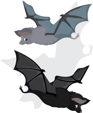 Bat in two variants, cartoon clipart