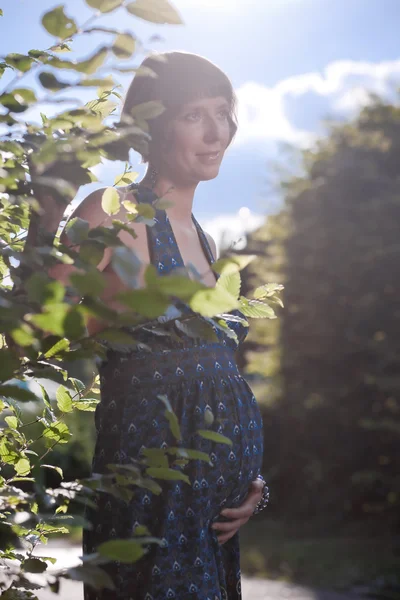 석양에 비추어 임신한 여자 — 스톡 사진