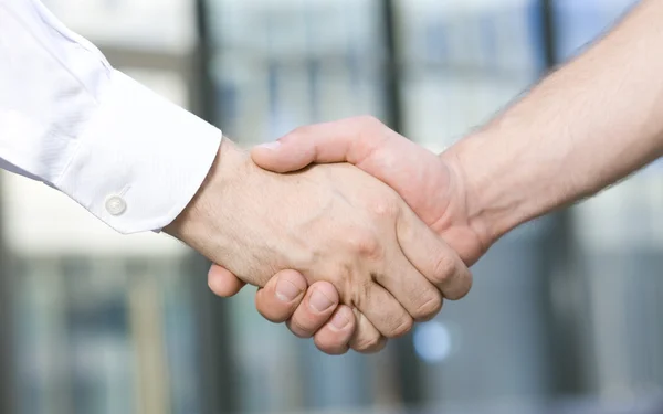 Handshake mezi pracovníky úřadu — Stock fotografie