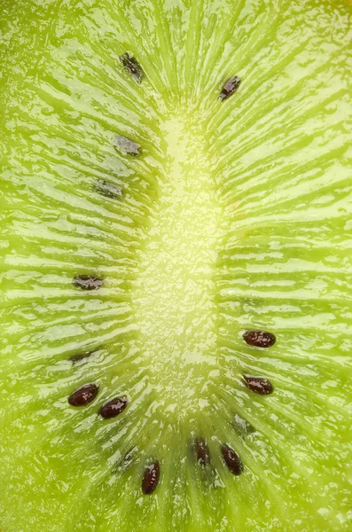 Färsk grön kiwi — Stockfoto