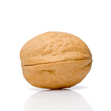 ceviz