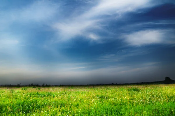 Sky and grass — Stock Photo, Image