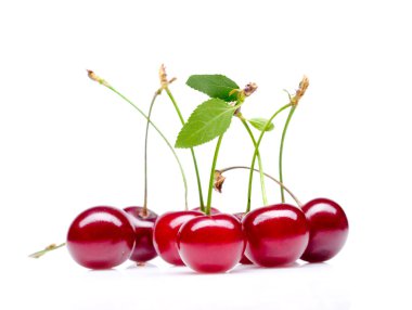 Cherry clipart