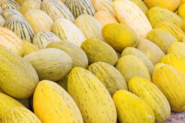 Ripe yellow melons harvest on market clipart