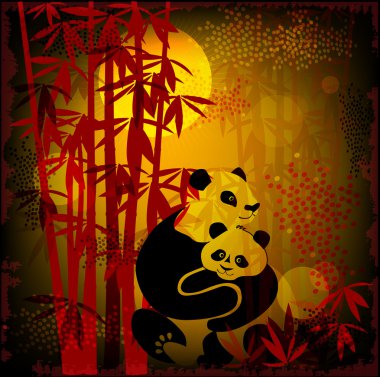 Bambu ormanında pandalar