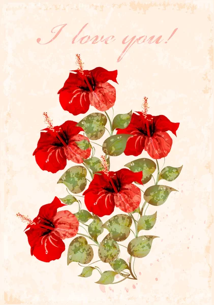 Carte de vœux vintage avec hibiscus — Image vectorielle