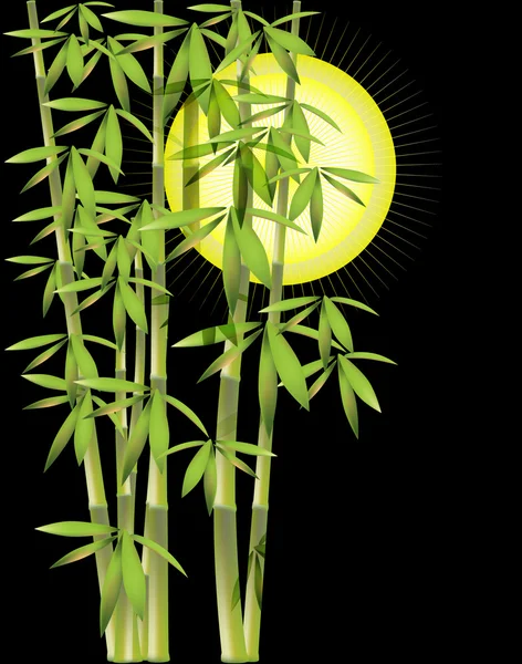 Fond avec du bambou — Image vectorielle