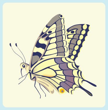 Eastern Tiger Swallowtail butterfly clipart