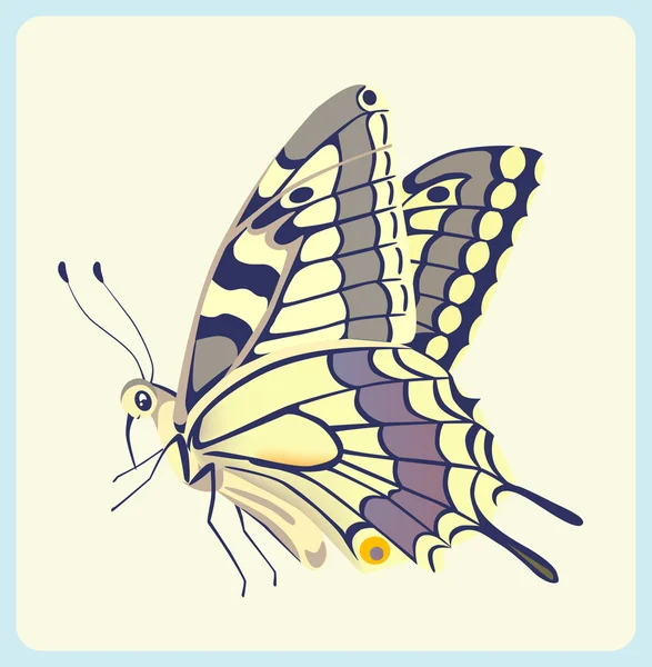 Papilio glaucus vlinder — Stockvector
