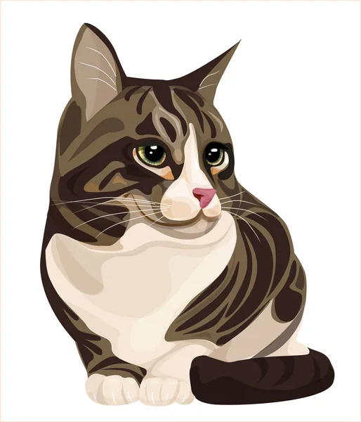 Cat — Stock Vector