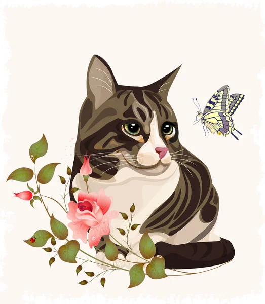 Katze und Schmetterling — Stockvektor