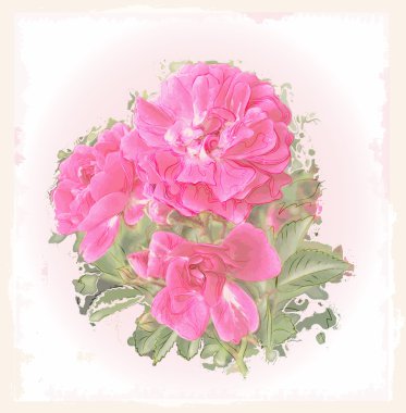 Vintage greeting card with roses clipart