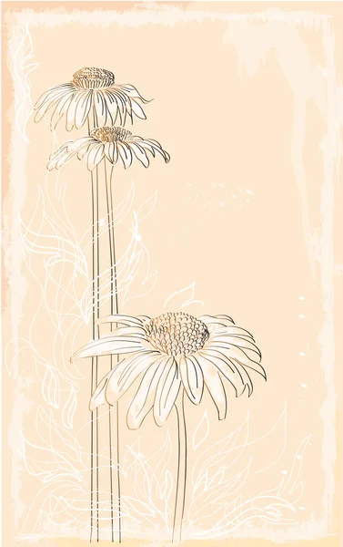 Bouquet style vintage gerbera — Image vectorielle