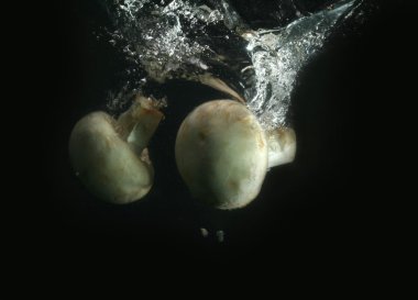 Champignons in water