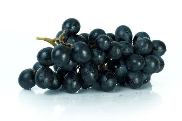 Голубой виноград изолирован и отражается на белом — стоковое фото