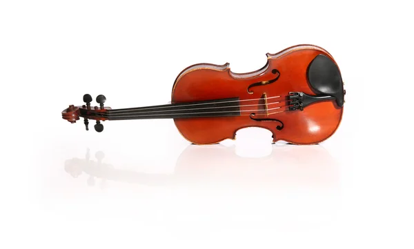上一个白色的背景和反射隔离的小提琴 — 图库照片