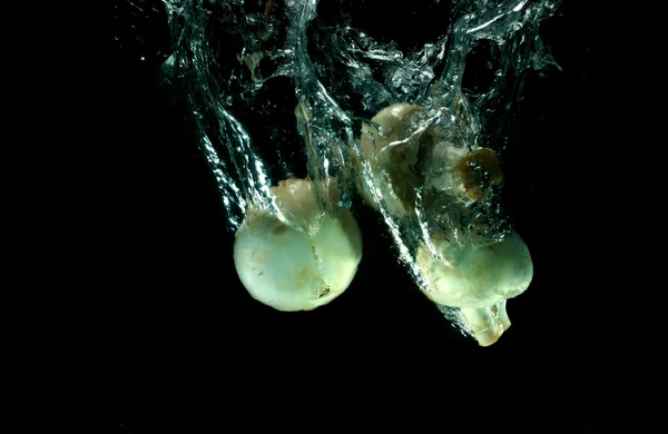 Champignons in water — Stock Photo, Image