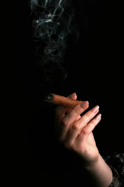 Сигар — стоковое фото