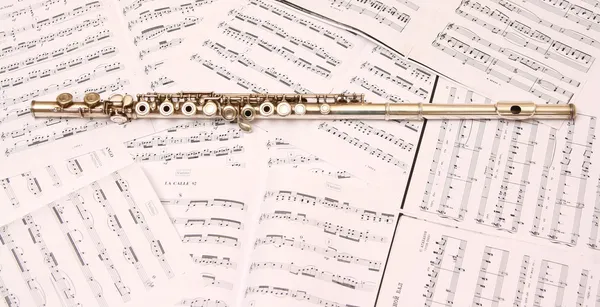 A used flute rests across Stock Picture