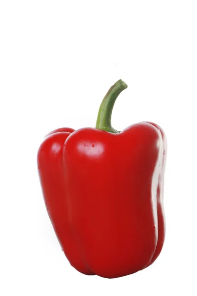Red pepper isolated on a white backgroun — Stock Photo, Image